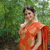 Sada in Saree at Mythri Press Meet - Pictures | Picture 216141
