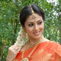 Sada in Saree at Mythri Press Meet - Pictures | Picture 216142