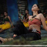 Tapsee Hot Stills in Daruvu Movie | Picture 216161