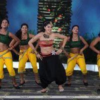 Tapsee Hot Stills in Daruvu Movie | Picture 216179