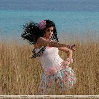 Tapsee Hot Stills in Daruvu Movie | Picture 216205