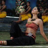 Tapsee Hot Stills in Daruvu Movie | Picture 216233