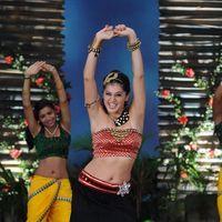 Tapsee Hot Stills in Daruvu Movie | Picture 216245