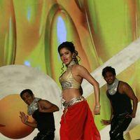 SIIMA Awards 2012 Day 2 in Dubai Unseen Photos | Picture 219687