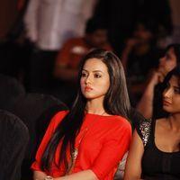 Sana Khan - SIIMA Awards in Dubai Fashion Show 2012 Photos