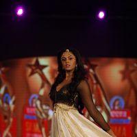 Karthika Nair - SIIMA Awards in Dubai Fashion Show 2012 Photos | Picture 219740