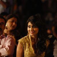 Shriya Saran - SIIMA Awards in Dubai Fashion Show 2012 Photos | Picture 219741