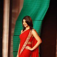 Richa Gangopadhyay - SIIMA Awards in Dubai Fashion Show 2012 Photos