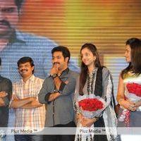 Dammu Audio Release - Pictures | Picture 183648