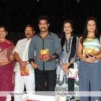 Dammu Audio Release - Pictures | Picture 183649
