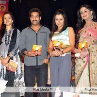 Dammu Audio Release - Pictures | Picture 183665