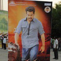 Dammu Audio Release - Pictures | Picture 183532