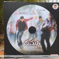 Dammu Audio Release - Pictures | Picture 183603