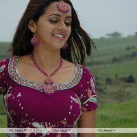 Bhavana Stills from Prema Nilayam Movie | Picture 195277