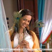 Bhavana Stills from Prema Nilayam Movie | Picture 195282