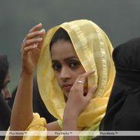 Bhavana Stills from Prema Nilayam Movie | Picture 195283