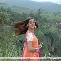 Bhavana Stills from Prema Nilayam Movie | Picture 195287