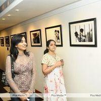 Celebs at Muse Art gallery - Pictures | Picture 203105