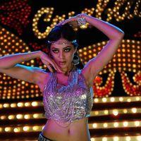 Parvathi Melton Hot Stills from Poovai Poovai Song | Picture 203068