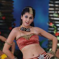 Tapsee Latest Hot Photo Stills | Picture 203078