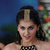 Tapsee Latest Hot Photo Stills | Picture 203090