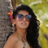 Tapsee Latest Hot Photo Stills | Picture 203094