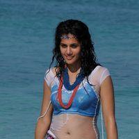 Tapsee Latest Hot Photo Stills | Picture 203098