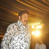Nandamuri Balakrishna - Adhinayakudu Triple Platinum Disc Function - Pictures | Picture 203475