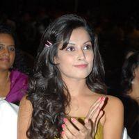 Disha Pandey at Race Telugu Movie Audio Launch Pictures | Picture 311957