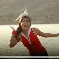 Ria Chakravarthi Stills in Tuneega Tuneega Movie | Picture 312774
