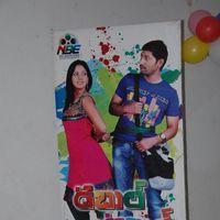 Double Trouble Movie Audio Launch Pictures | Picture 314504