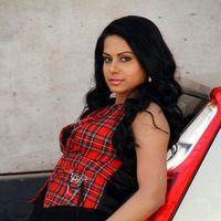 Rachana Maurya New Hot Stills | Picture 314345