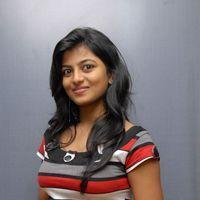 Actress Rakshita Stills at Bust Stop Movie Press Meet | Picture 314950
