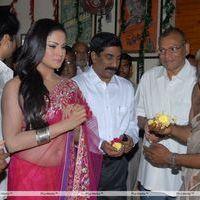 Nagna Satyam Movie Opening Pictures | Picture 315409