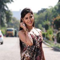 Athadu Aame O Scooter Actress Priyanka Chhabra Stills | Picture 316325