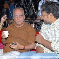 Chinni Chinni Aasa Audio Release Pictures | Picture 317124