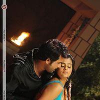 Priyathama Neevachata Kusalama Movie Hot Stills | Picture 316979