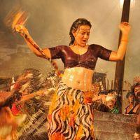 Dandu Palyam Movie Stills | Picture 319018