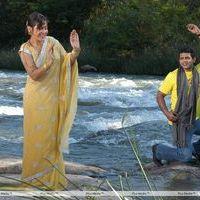 Dandu Palyam Movie Stills | Picture 319019