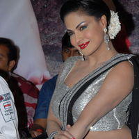 Veena Malik - Made in Vizag Audio Launch Pictures | Picture 325384