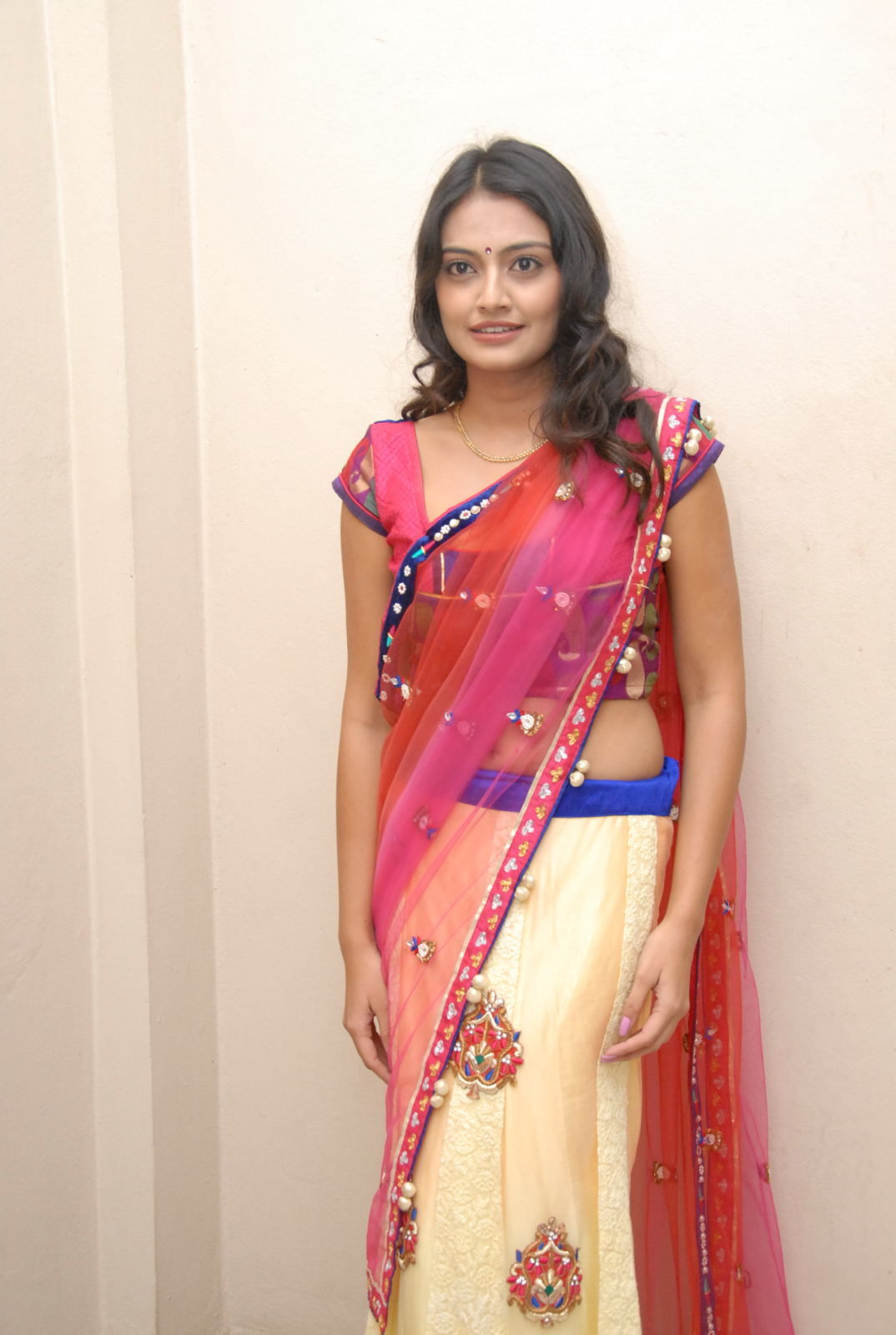 Nikitha Narayan at  Made in Vizag Audio Release Pictures | Picture 325309