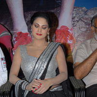 Veena Malik Hot at Made In Vizag Audio Release Pictures | Picture 325510