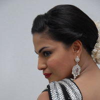 Veena Malik Hot at Made In Vizag Audio Release Pictures | Picture 325518