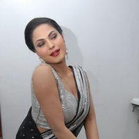 Veena Malik Hot at Made In Vizag Audio Release Pictures | Picture 325569
