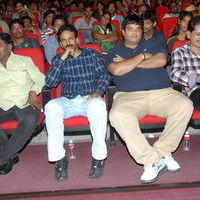 Yamudiki Mogudu Audio Launch Pictures | Picture 326220
