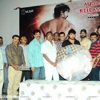 Scam Movie Audio Release Pictures | Picture 329545