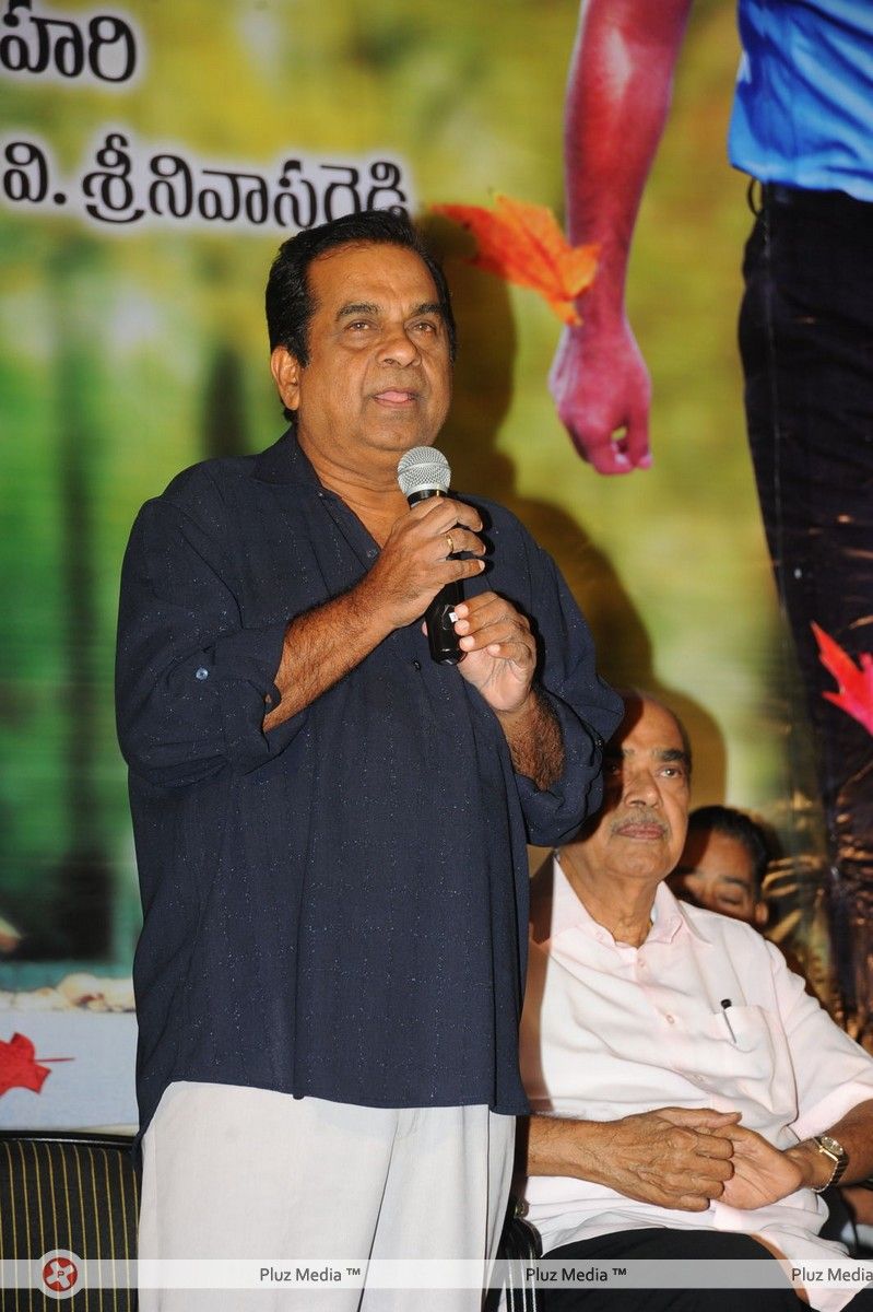 Brahmanandam - Lucky Movie Audio Launch Pictures | Picture 288960