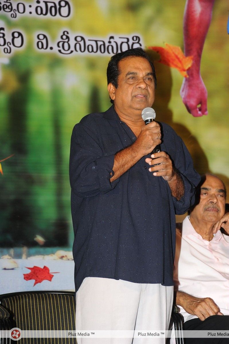 Brahmanandam - Lucky Movie Audio Launch Pictures | Picture 288978