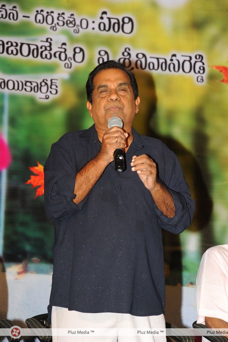 Brahmanandam - Lucky Movie Audio Launch Pictures | Picture 289017