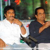 Lucky Movie Audio Launch Pictures | Picture 288947